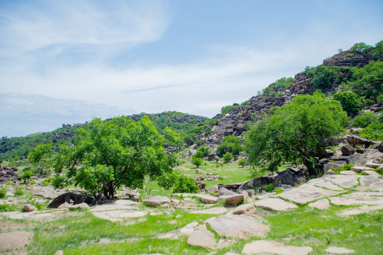 Rocky green landscape at the Tongo Hills